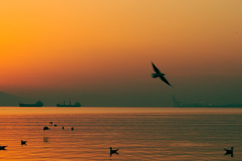 Gemi Karasuları ve Uluslararası Sular Gemi Karasuları ve Uluslararası Sular