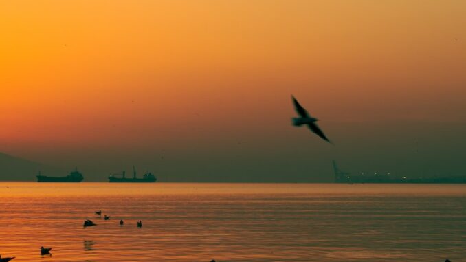 uploaded-image-gemi-tasimaciliginda-hava-durumu-ve-hava-tahmini-1697208486682